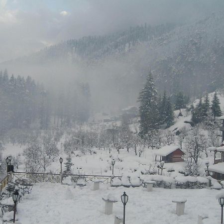 Snow Valley Resorts & Spa Manali Εξωτερικό φωτογραφία